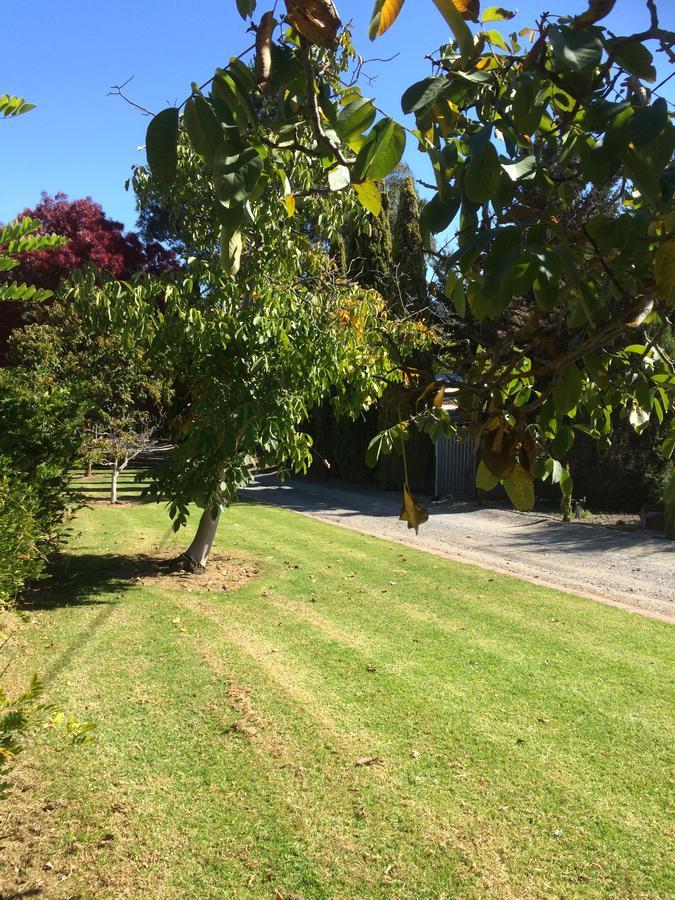 Vineyard Cottage Bnb Gumeracha Экстерьер фото